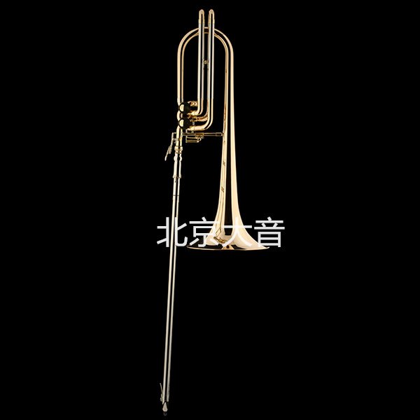 沙格爾 奧如拉 Schagerl Aurora